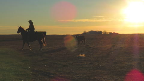 Finding and Following God’s Call: Following the Call by Imitating Jesus