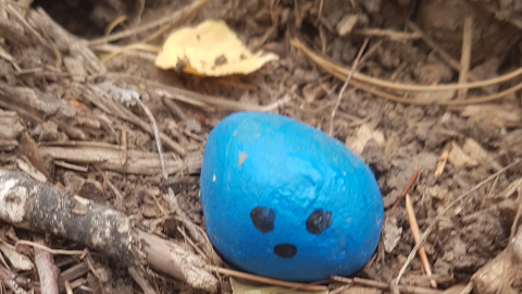 Sharing Sunday November