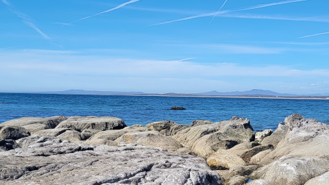 What are the Oughts the Shoulds?