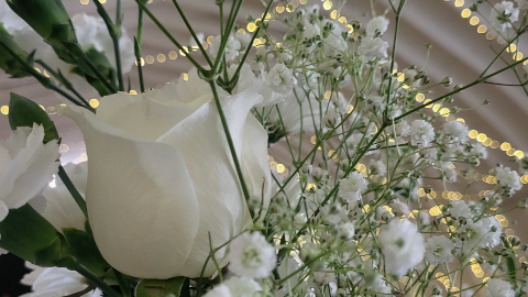 Don’t Be Afraid, I Bring Good News, Great Joy, For All The World